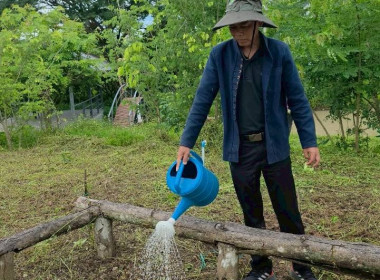 สำนักงานสหกรณ์จังหวัดเชียงราย จัดกิจกรรมปลูกพืชสมุนไพร ... พารามิเตอร์รูปภาพ 25
